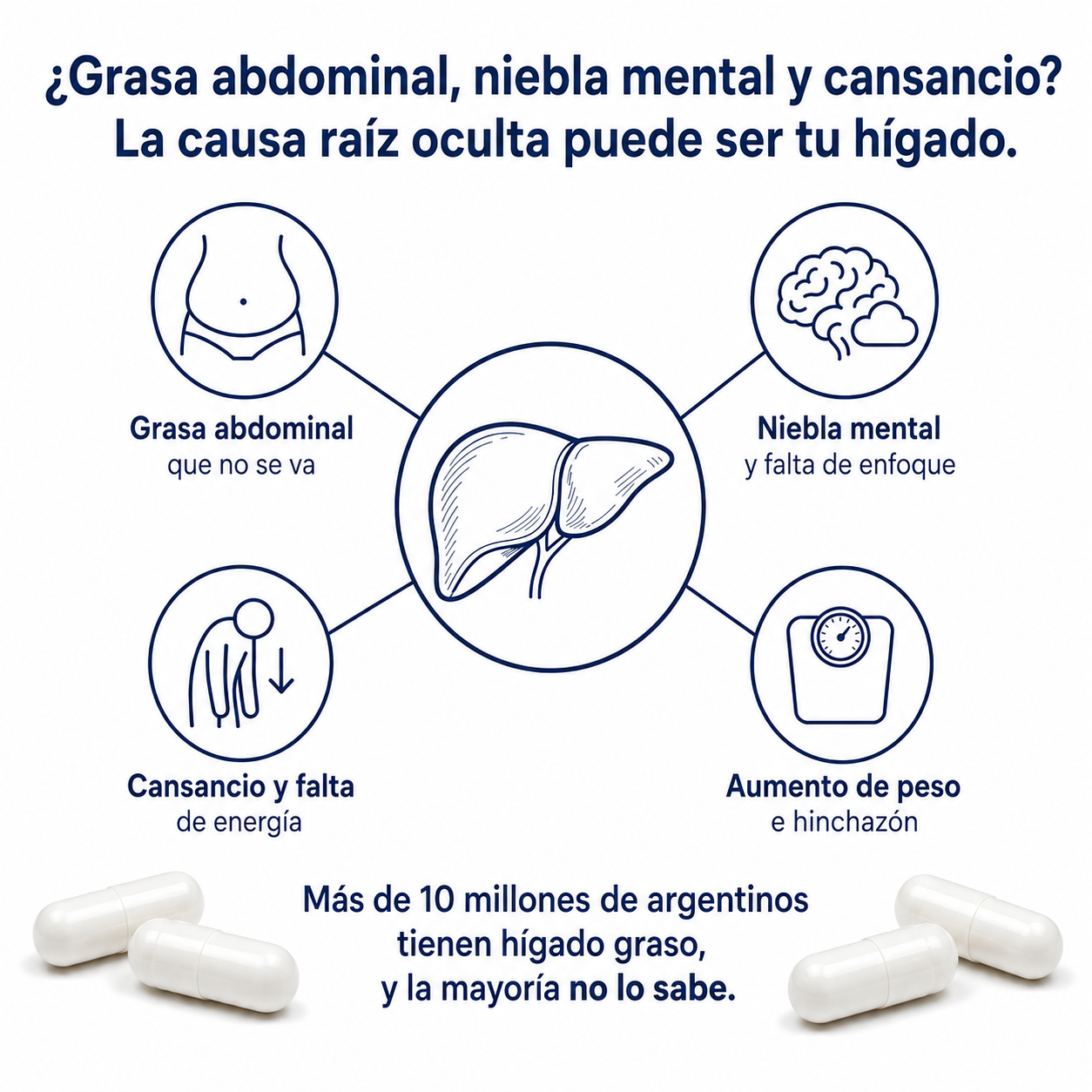 NAC liposomal: apoyo para la desintoxicación hepática y celular.