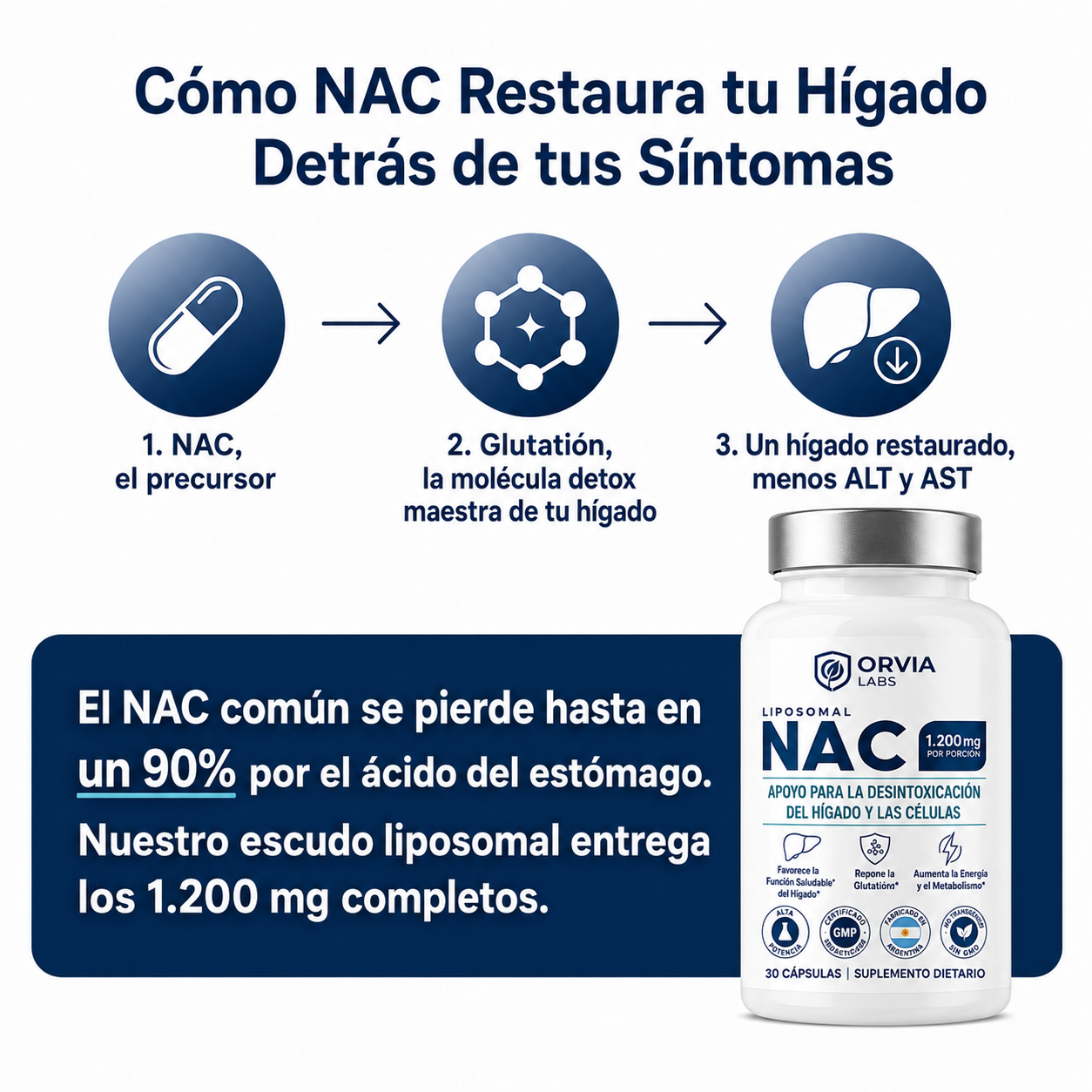 NAC liposomal: apoyo para la desintoxicación hepática y celular.