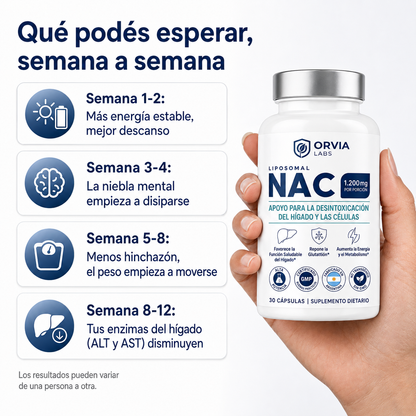 NAC liposomal: apoyo para la desintoxicación hepática y celular.