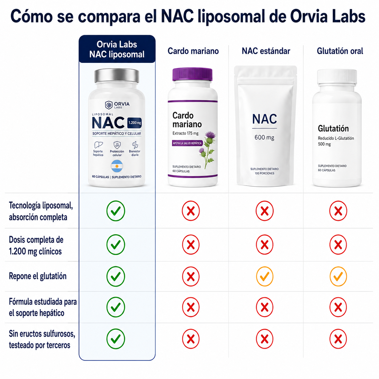 NAC liposomal: apoyo para la desintoxicación hepática y celular.